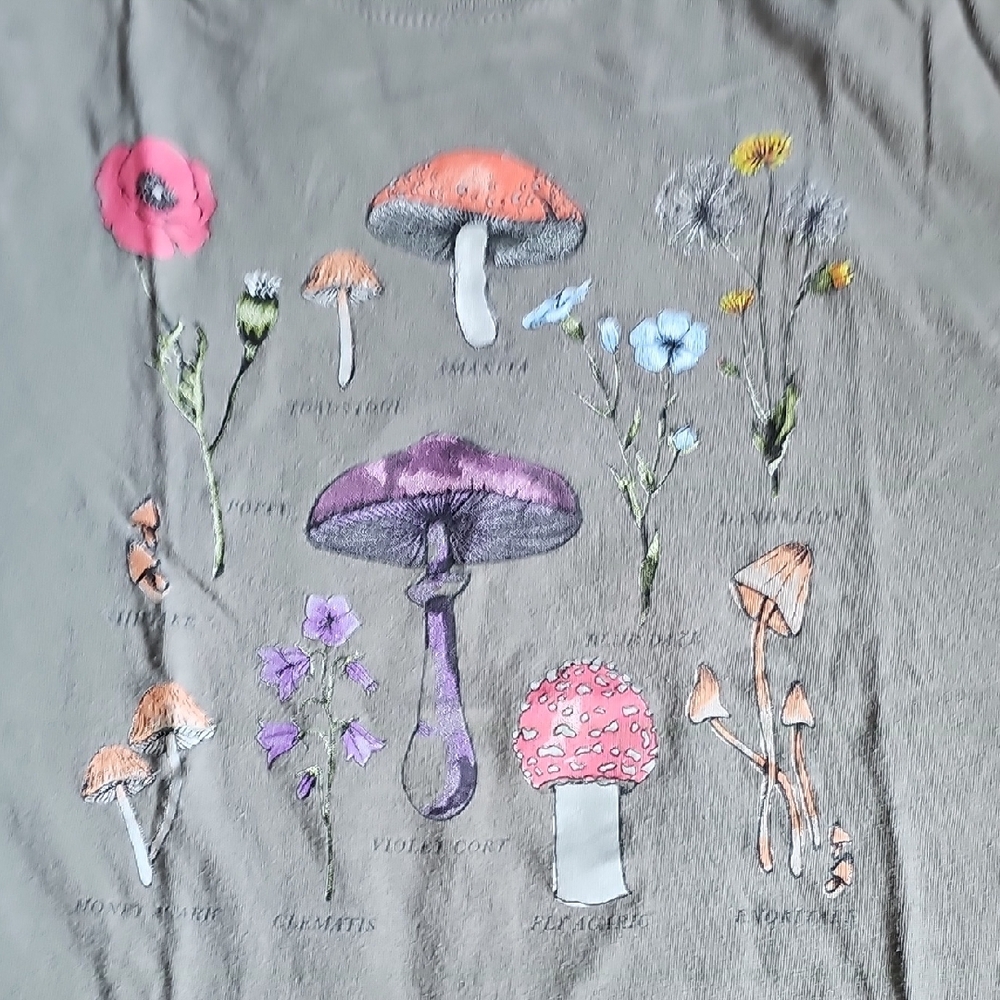 Target Women's Short Sleeve Tees - Multicolor Pack - Picture 5 of 12